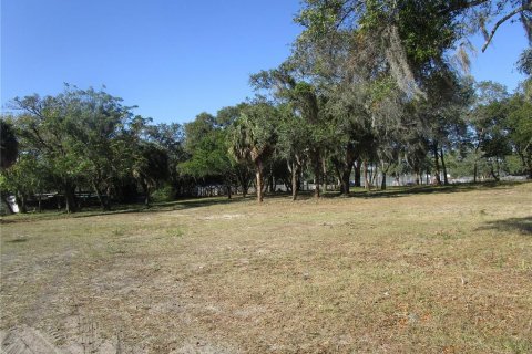 Terrain à vendre à Tampa, Floride № 2211161 - photo 4