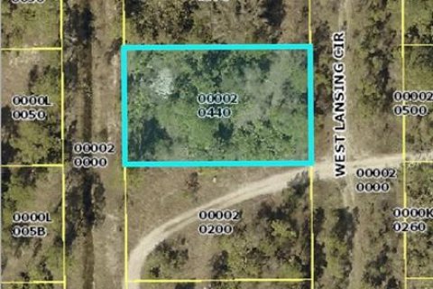 Land in Alva, Florida № 2161796 - photo 2