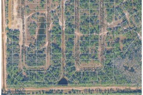 Land in Alva, Florida № 2161796 - photo 5