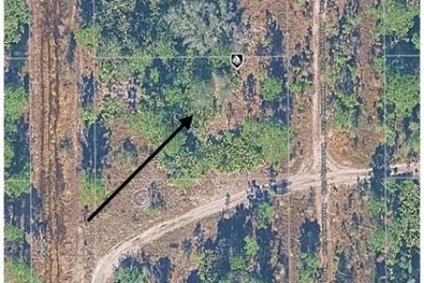 Land in Alva, Florida № 2161796 - photo 3