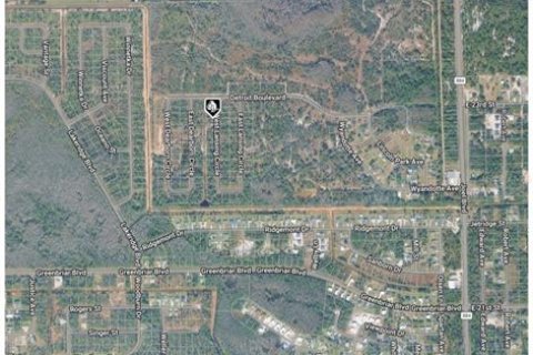 Land in Alva, Florida № 2161796 - photo 4