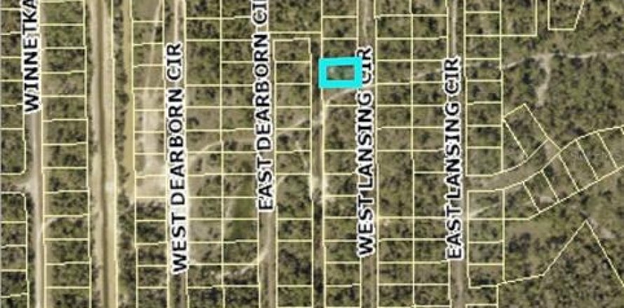 Land in Alva, Florida № 2161796