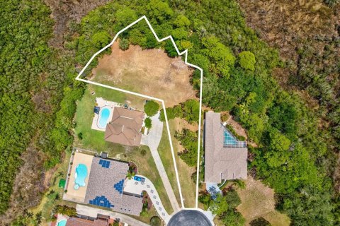 Land in Holiday, Florida № 2114426 - photo 4