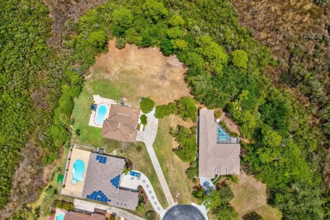 Land in Holiday, Florida № 2114426 - photo 10
