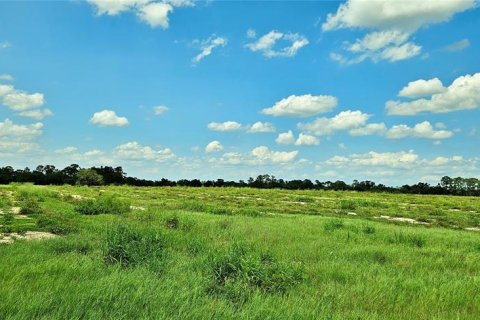 Terreno en venta en Lake Wales, Florida № 1767447 - foto 6
