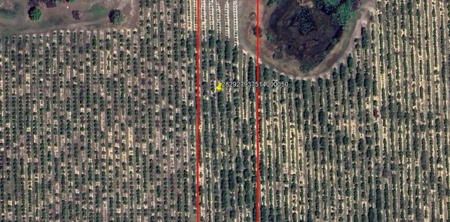 Terreno en Lake Wales, Florida № 1767447