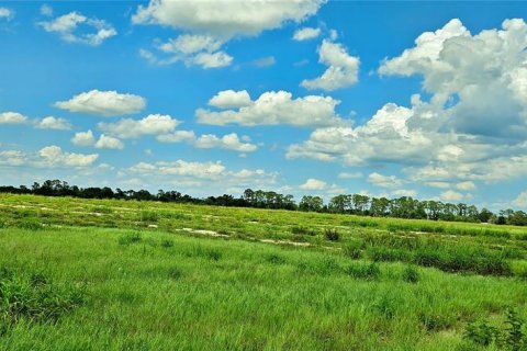 Terreno en venta en Lake Wales, Florida № 1767447 - foto 7