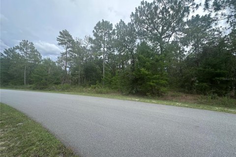 Land in Wildwood, Florida № 1832938 - photo 1