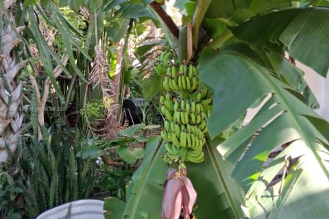 Casa en venta en Hollywood, Florida, 3 dormitorios, 69.68 m2 № 1956502 - foto 10