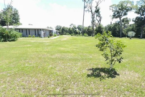 Terreno en venta en Ocala, Florida № 2302879 - foto 2