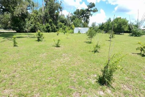 Terreno en venta en Ocala, Florida № 2302879 - foto 4