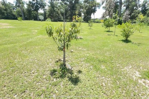 Terreno en venta en Ocala, Florida № 2302879 - foto 3