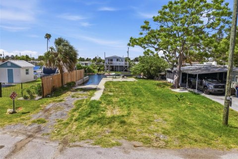 Land in Hudson, Florida № 2147832 - photo 10