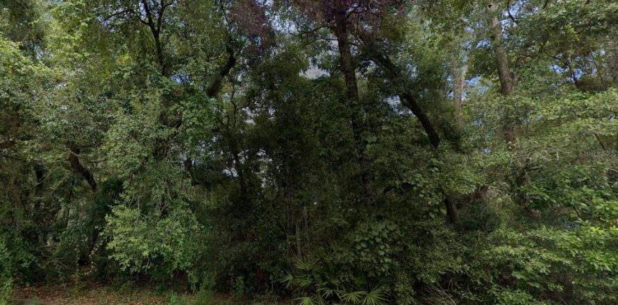 Land in Fanning Springs, Florida № 1544566