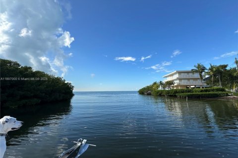 House in Islamorada, Village of Islands, Florida 4 bedrooms, 156.08 sq.m. № 1948419 - photo 30