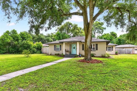 House in Mount Dora, Florida 4 bedrooms, 151.99 sq.m. № 2393454