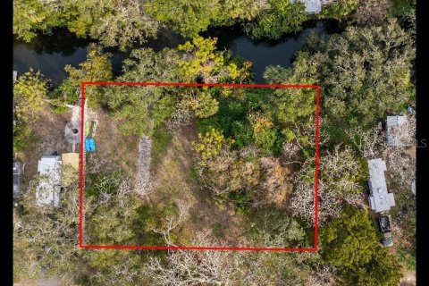 Terrain à vendre à Hudson, Floride № 1540920 - photo 2