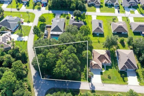 Land in Palm Coast, Florida № 2329974