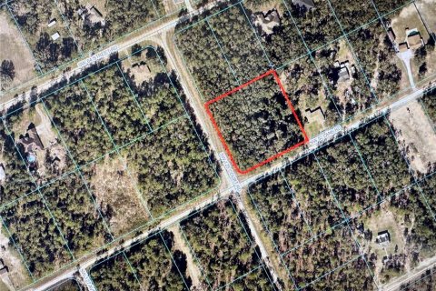 Land in Dunnellon, Florida № 1511810 - photo 1