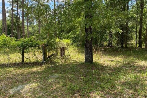 Terreno en venta en Middleburg, Florida № 767624 - foto 1