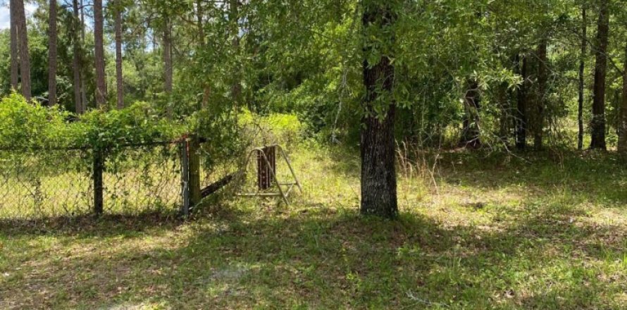 Terreno en Middleburg, Florida № 767624