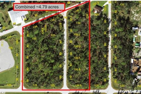 Land in Port Charlotte, Florida № 2125541 - photo 2
