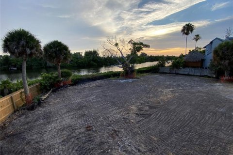 Land in Sarasota, Florida № 2156077 - photo 11