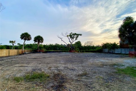Land in Sarasota, Florida № 2156077 - photo 20