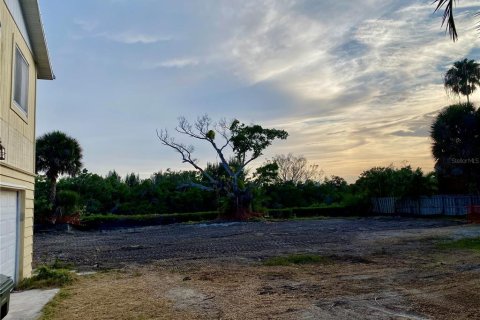 Land in Sarasota, Florida № 2156077 - photo 9