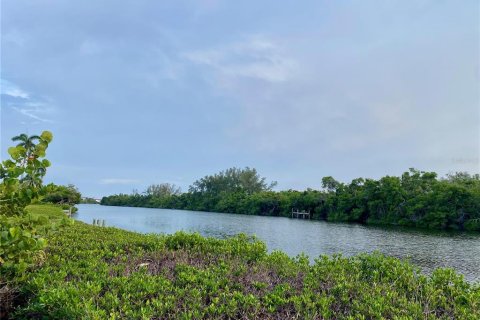Land in Sarasota, Florida № 2156077 - photo 5