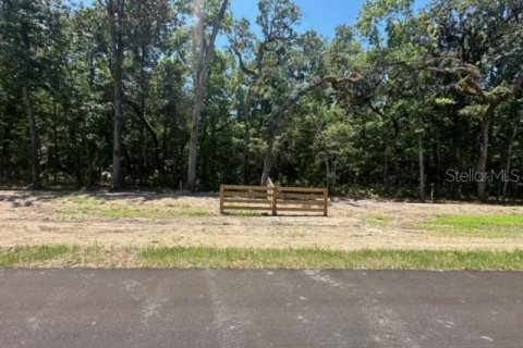 Terreno en venta en Brooksville, Florida № 1205240 - foto 19