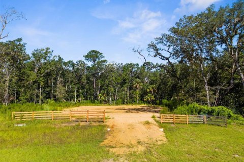 Terreno en venta en Brooksville, Florida № 1205240 - foto 23