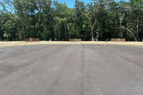 Terreno en venta en Brooksville, Florida № 1205240 - foto 13