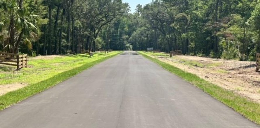 Terreno en Brooksville, Florida № 1205240