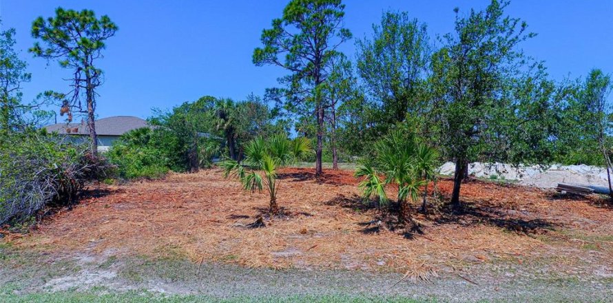 Land in Rotonda, Florida № 2228793