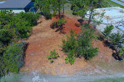 Land in Rotonda, Florida № 2228793 - photo 3
