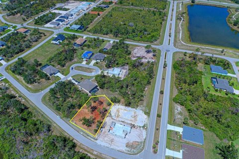 Land in Rotonda, Florida № 2228793 - photo 6