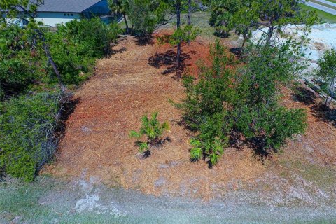 Land in Rotonda, Florida № 2228793 - photo 2