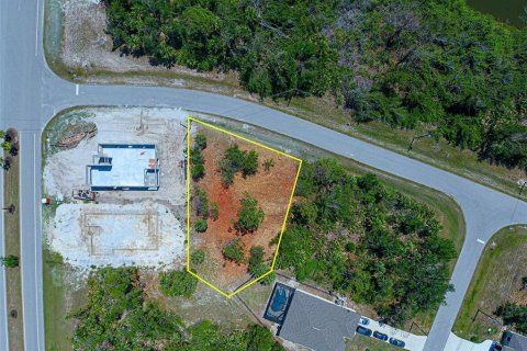 Land in Rotonda, Florida № 2228793 - photo 9
