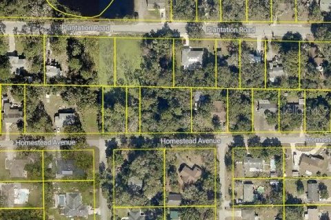 Land in DeBary, Florida № 2143241 - photo 5