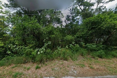 Terrain à DeBary, Floride № 2143241