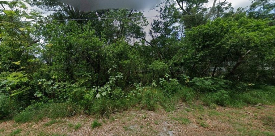 Land in DeBary, Florida № 2143241