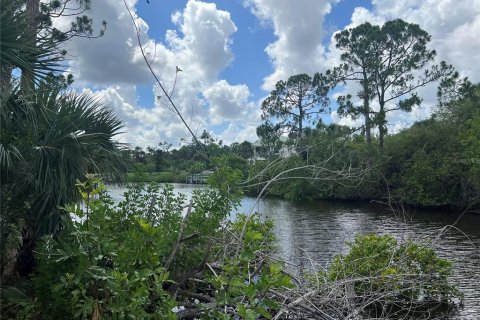 Land in Port Charlotte, Florida № 1621905 - photo 10