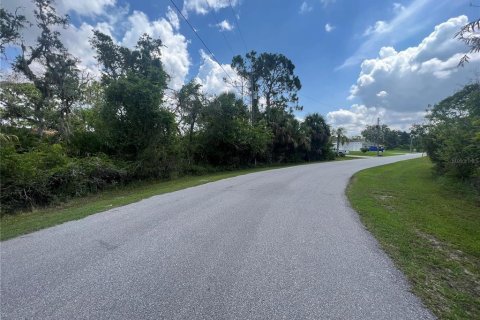 Land in Port Charlotte, Florida № 1621905 - photo 7