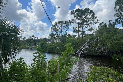 Land in Port Charlotte, Florida № 1621905 - photo 3
