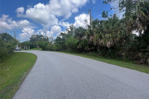Land in Port Charlotte, Florida № 1621905 - photo 8