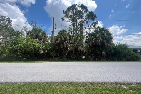Land in Port Charlotte, Florida № 1621905 - photo 6