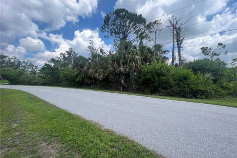 Land in Port Charlotte, Florida № 1621905 - photo 9