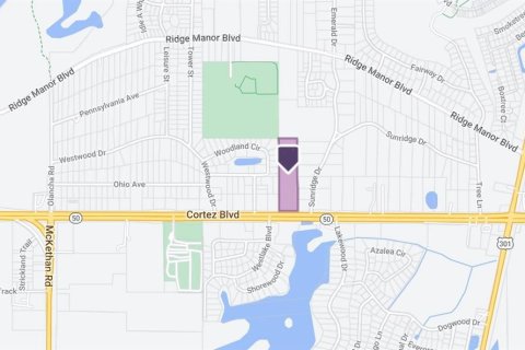 Land in Dade City, Florida № 1582135 - photo 4