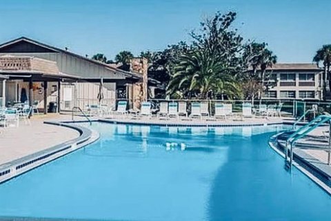 Condo in New Port Richey, Florida, 1 bedroom  № 2161367 - photo 24